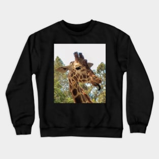 Giraffe Crewneck Sweatshirt